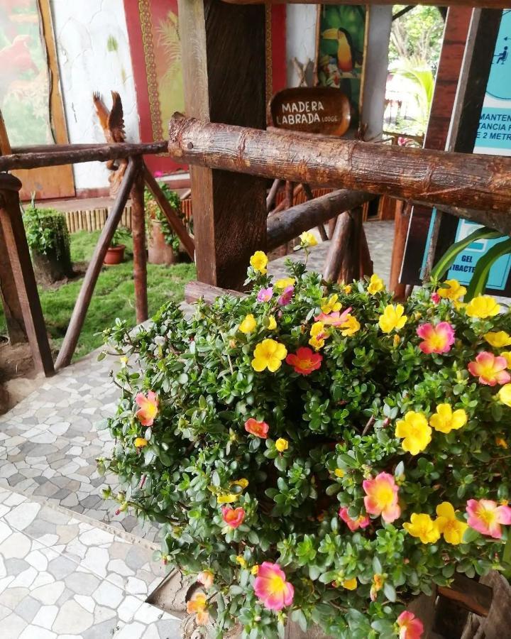 Madera Labrada Lodge Ecologico Tarapoto Eksteriør bilde